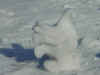 chicken.jpg (42403 bytes)