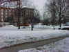 park.jpg (42857 bytes)