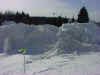 NYS SNOW RAW.JPG (40688 bytes)