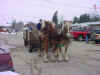 HORSE RIDES.JPG (40120 bytes)