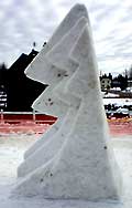 snowlogo.jpg (4096 bytes)