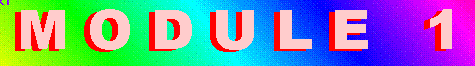 Module 1 gif