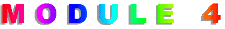 Module 4 gif