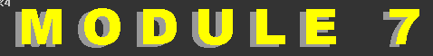 Module 7 gif
