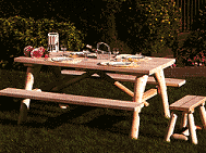 Picnic Table, benches, swing chairs