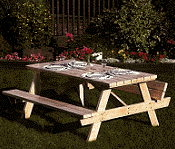 Picnic Table, benches, swing chairs