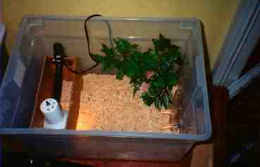 box