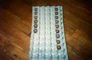eggs in tray